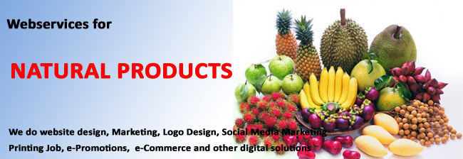 Webservices for Natural Products